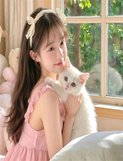 《强者无惧》有什么特别之处？独特看点与特色解析